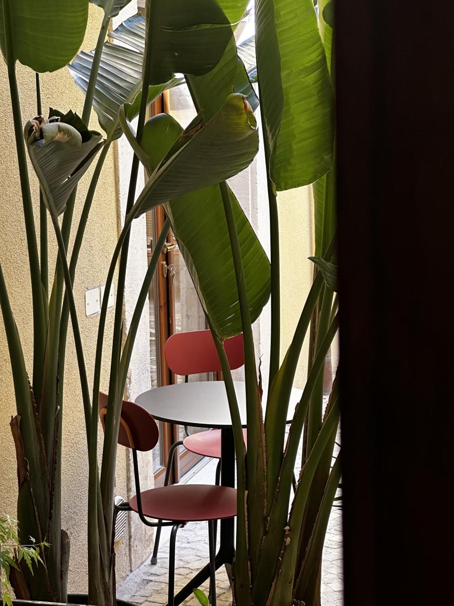 Bed & Breakfast Ginevra Boutique - Palazzo Leosini - Residenze D'epoca *